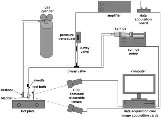 image for camera system